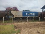 RUMO HPT-031831-1